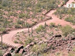 La reserva indígena comparte unos 1000 kilómetros de frontera con México. EFE / Nación Tohono O'odham