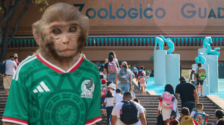Si planeas aprovechar esta increíble promoción, te recordamos que el Zoológico Guadalajara se encuentra muy cerca de la Barranca de Huentitán. ESPECIAL/ EL INFORMADOR/ ARCHIVO/ Unsplash