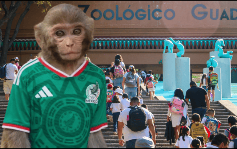 Si planeas aprovechar esta increíble promoción, te recordamos que el Zoológico Guadalajara se encuentra muy cerca de la Barranca de Huentitán. ESPECIAL/ EL INFORMADOR/ ARCHIVO/ Unsplash