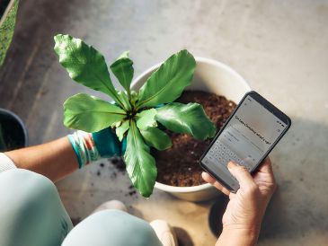 Reiniciar tu celular cada semana te tomará menos de dos minutos y te ahorrará dolores de cabeza a largo plazo. UNSPLASH / MICROSOFT COPILOT