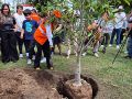 La alcaldesa de Guadalajara, Verónica Delgadillo, señaló que estas plantaciones de árboles podrían aumentar la capacidad de infiltración de agua a zonas verdes. EL INFORMADOR/M. Hernández