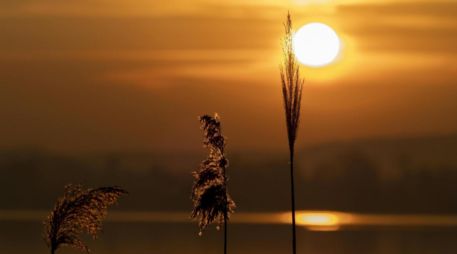 Este fenómeno astronómico se produce cuando el hemisferio norte recibe la mayor inclinación hacia el Sol. CANVA