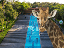 El Zoológico Guadalajara se encuentra muy cerca de la Barranca de Huentitán. ESPECIAL/ EL INFORMADOR/ ARCHIVO/ Unsplash