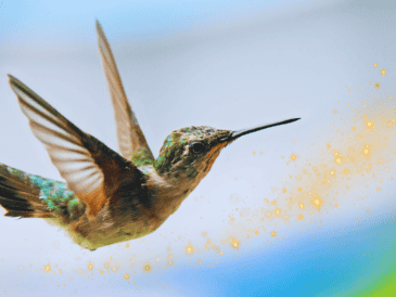 Algunas leyendas sugieren que cuando un colibrí se acerca a una persona, es porque esta necesita sanar y liberar energías negativas. ESPECIAL / CANVA