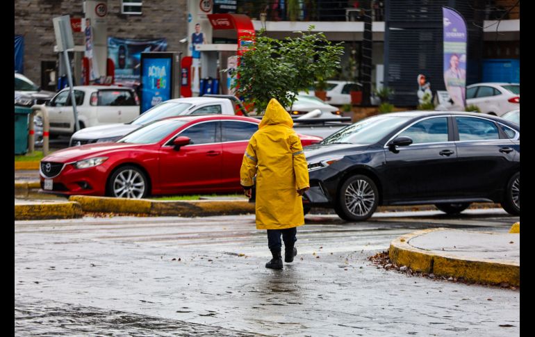 El impacto simultáneo de dos ondas tropicales sobre el territorio mexicano activará alertas de emergencia debido a la posibilidad de luvias torrenciales. EL INFORMADOR/ARCHIVO