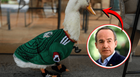 Hasta ahora, la FIFA no ha informado si responderá a la petición realizada por Felipe Calderón ni si existe algún mecanismo para otorgar regalías o apoyos económicos relacionados con la imagen del pato Merlín. ESPECIAL