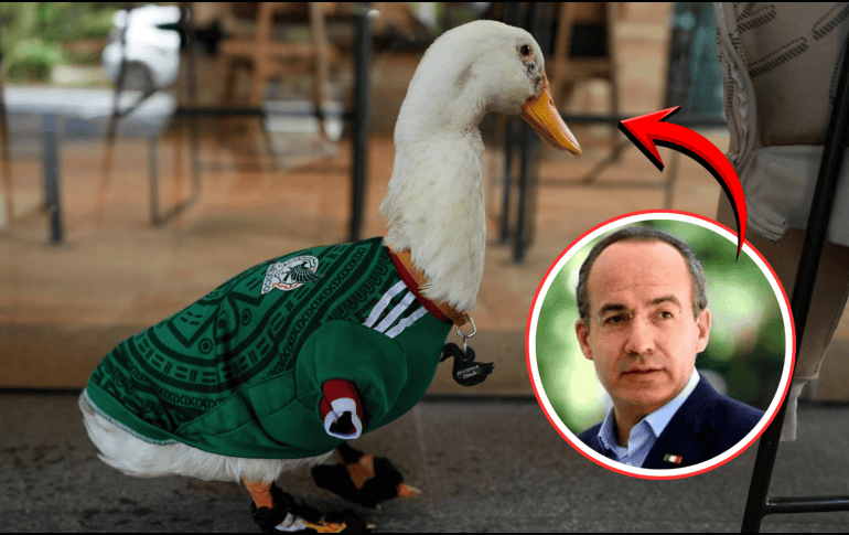 Hasta ahora, la FIFA no ha informado si responderá a la petición realizada por Felipe Calderón ni si existe algún mecanismo para otorgar regalías o apoyos económicos relacionados con la imagen del pato Merlín. ESPECIAL