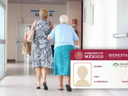 Pequeños errores al presentar o utilizar la credencial pueden convertirse en obstáculos para acceder a los apoyos disponibles. PIXABAY/ESPECIAL