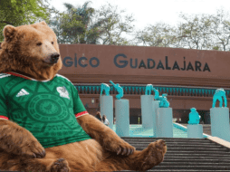 Si planeas aprovechar esta increíble promoción, te recordamos que el Zoológico Guadalajara se encuentra muy cerca de la Barranca de Huentitán. ESPECIAL/ EL INFORMADOR/ ARCHIVO/ Unsplash