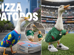 El pato Merlín refleja una tendencia creciente en marketing, la capacidad de las marcas para reaccionar a contenidos virales en tiempo real. FACEBOOK /@Flexi / @Domino's Mx / @DJ Xquizit