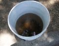 Los reportes por mala calidad del agua ante el SIAPA se incrementaron durante los primeros meses de 2026. EL INFORMADOR/ARCHIVO