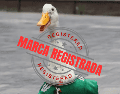Pato Merlín, que en los últimos meses ganó notoriedad en redes sociales, ya cuenta con un registro ante el Instituto Mexicano de la Propiedad Industrial (IMPI). ESPECIAL