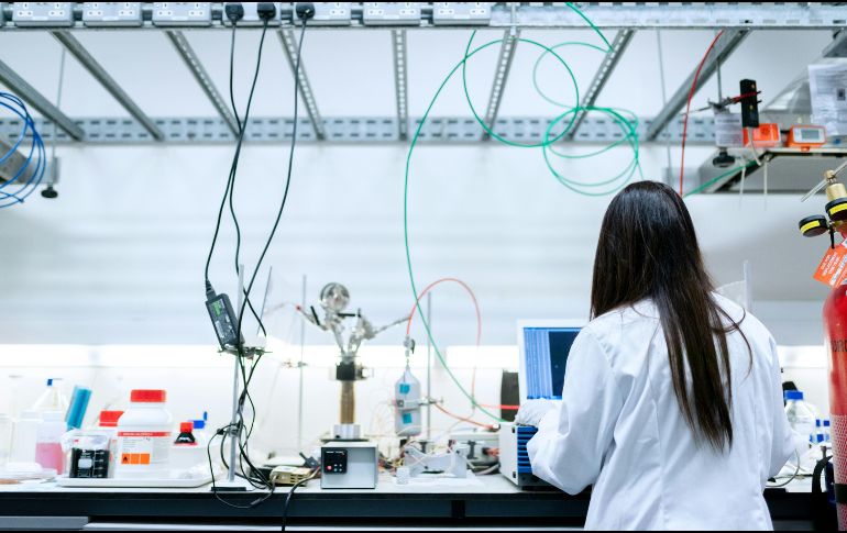 Los investigadores usaron siete grandes conjuntos de datos compuestos por información clínica real, entre los que se incluyen imágenes médicas, electrocardiogramas e historiales clínicos electrónicos. Unsplash