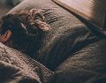 Soñar con seres queridos fallecidos es una experiencia emocional profunda. Conoce las explicaciones psicológicas, el papel del subconsciente y cómo interpretar estos sueños para sanar. Unsplash
