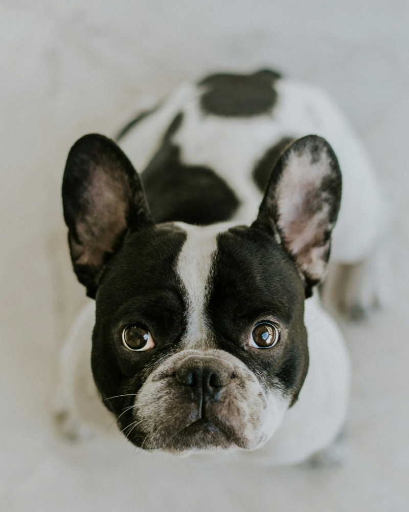 &nbsp;Unsplash