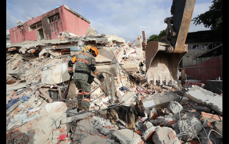 Un rescatista del Ejercito de México junto a su perro trabajan en un edificio afectado por un terremoto este viernes, en La Guaira. EFE/R. Peña
