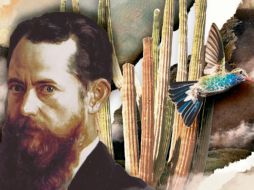 José María Velasco (1840-1912), pintor y miembro de la Sociedad Mexicana de Historia. Natural,CORTESÍA/@caracolsaurio_art