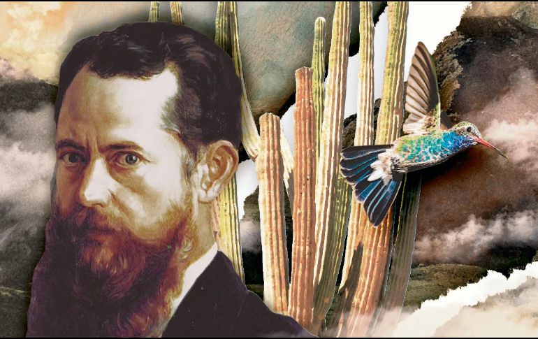 José María Velasco (1840-1912), pintor y miembro de la Sociedad Mexicana de Historia. Natural,CORTESÍA/@caracolsaurio_art