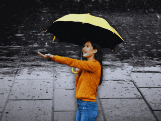 La Conagua advierte una probabilidad de lluvia del 87 por ciento para la metrópoli. ESPECIAL / CANVA