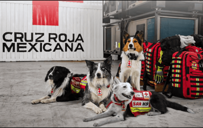 Además del equipo de rescate, la Presidenta Claudia Sheinbaum anunció que el Gobierno de México analiza el envío de más ayuda humanitaria a Venezuela. CORTESÍA/ Cruz Roja Mexicana Sede Nacional.