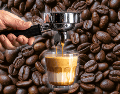 Conceptos como espresso, barista, molino de café, portafiltro, tamper y extracción forman parte del lenguaje cotidiano del café de especialidad y ayudan a entender por qué una pequeña modificación puede transformar por completo el sabor de la bebida.  CANVA