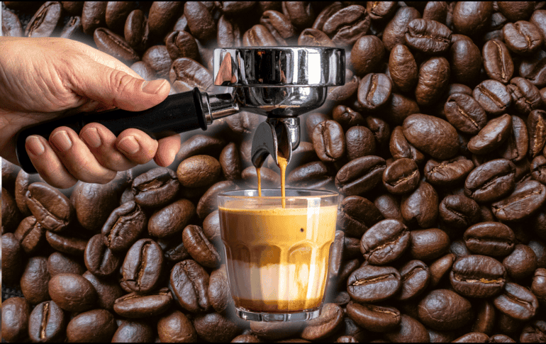 Conceptos como espresso, barista, molino de café, portafiltro, tamper y extracción forman parte del lenguaje cotidiano del café de especialidad y ayudan a entender por qué una pequeña modificación puede transformar por completo el sabor de la bebida.  CANVA