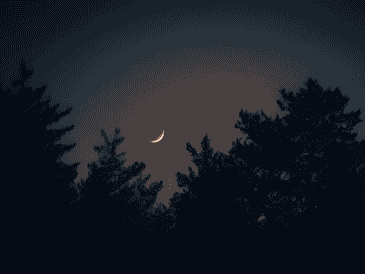 Por la noche del 29 de junio y la madrugada del 30 de junio se podrá ver este fenómeno de la "Luna de Fresa". CANVA