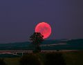 La Luna de Ciervo iluminará el firmamento proximamente el cielo. UNSPLASH / R. WIEDEMANN