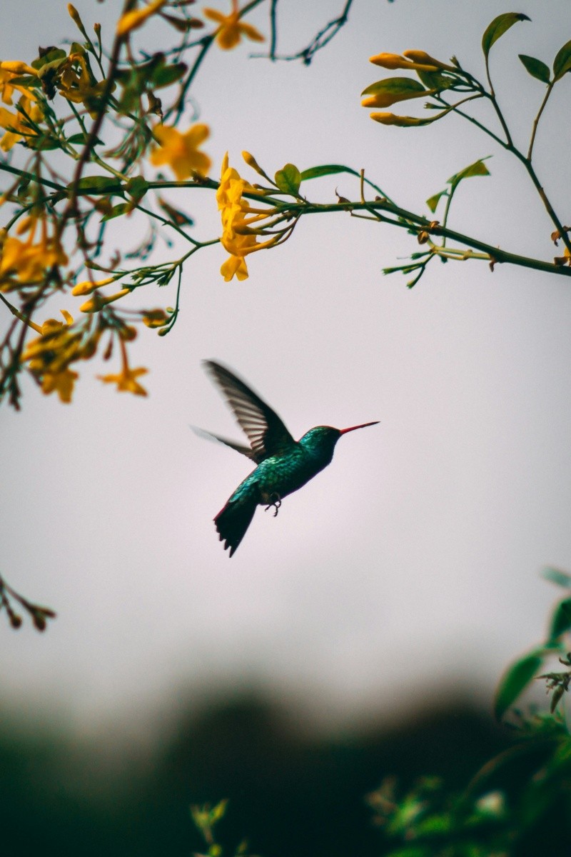 &nbsp;&nbsp;UNSPLASH