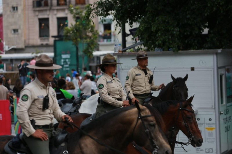 ESPECIAL/Ayuntamiento de Guadalajara&nbsp;