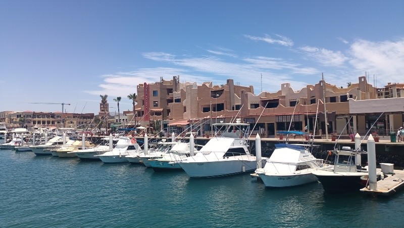 Aquí se concentran muelles para los yate, tours, tiendas de lujo, restaurantes y bares