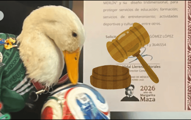 La inspiración detrás de esta reforma es el famoso Pato Merlín, un ave que se convirtió en celebridad durante el Mundial 2026. INSTAGRAM / @soyelpatomerlin