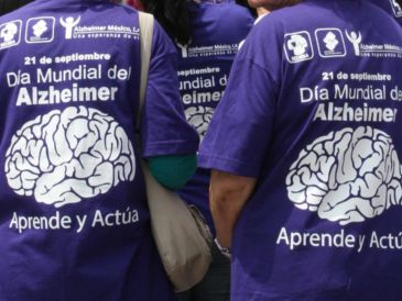 Una investigación analizó cómo la nutrición impacta directamente en la salud cerebral. NTX / ARCHIVO