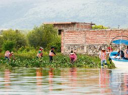 El alcalde Gerardo Quirino Velázquez encabezó la primera Macro Brigada de limpieza de la Laguna de Cajititlán. ESPECIAL