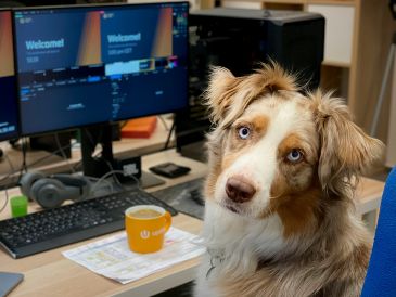 Llevar al perro al trabajo mejora el clima laboral y reduce el estrés. Conocer los cinco datos imprescindibles resulta vital para que esta experiencia sea un éxito total tanto para la mascota como para los compañeros. Unsplash