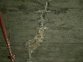 El salitre es una acumulación de sales minerales que emerge a la superficie de muros, techos o pisos cuando existe humedad en el interior de los materiales de construcción. ESPECIAL/Canva