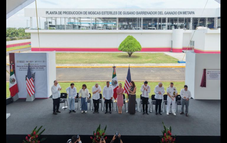 Confían en que planta de mosca estéril ayude a frenar casos de gusano barrenador en Jalisco. ESPECIAL/Sader Jalisco