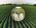 La agricultura de precisión promete reducir el consumo de agua fertilizantes y pesticidas. SUN / CANVA / ESPECIAL