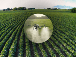 La agricultura de precisión promete reducir el consumo de agua fertilizantes y pesticidas. SUN / CANVA / ESPECIAL