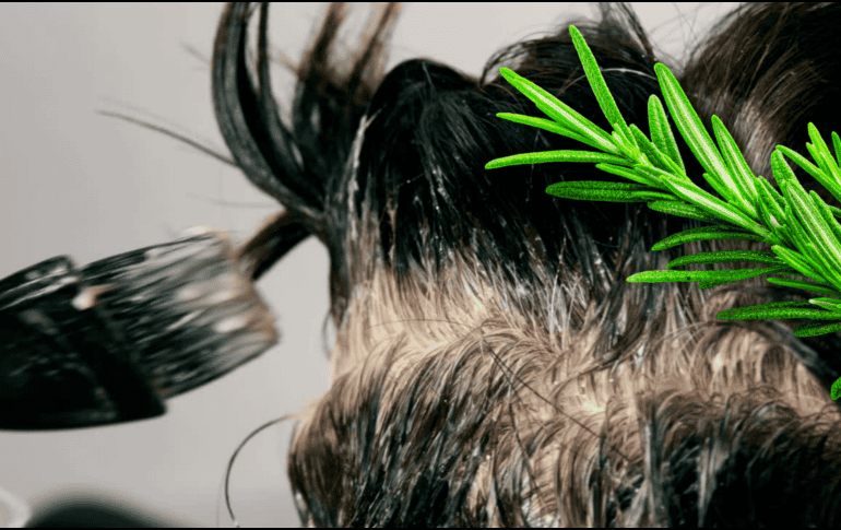 Ante las canas, expertos sugieren adoptar alternativas botánicas mucho menos invasivas que los tintes tradicionales formulados con amoníaco y otros derivados del petróleo. ESPECIAL / CANVA
