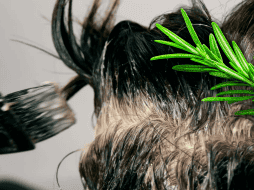 Ante las canas, expertos sugieren adoptar alternativas botánicas mucho menos invasivas que los tintes tradicionales formulados con amoníaco y otros derivados del petróleo. ESPECIAL / CANVA