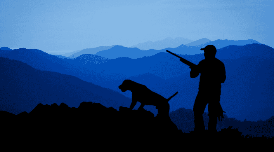 El desgaste físico de los perros de caza exige un enfoque nutricional distinto al de los animales de compañía tradicionales. CANVA / ESPECIAL