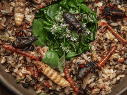 Cada uno de estos insectos se recolecta en temporadas específicas y en diferentes estados de la República. SUN / E. SILVA