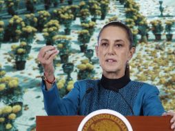 García Harfuch confirmó que, de acuerdo con la Fiscalía General del Estado de Veracruz, los restos óseos localizados en la entidad corresponden a la comunicadora. SUN / ARCHIVO / EFE / S. Gutiérrez