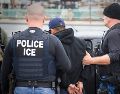Al menos seis personas han muerto a manos de agentes de inmigración en EU. AP/ARCHIVO