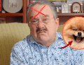 Los comentarios realizados durante Ventaneando volvieron a poner sobre la mesa una discusión que suele dividir opiniones: la presencia de mascotas en espacios públicos y establecimientos comerciales. YOUTUBE/@pedrosola