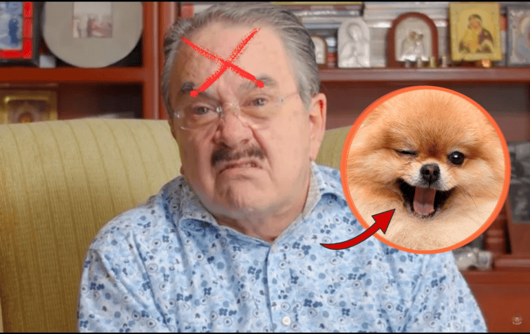 Los comentarios realizados durante Ventaneando volvieron a poner sobre la mesa una discusión que suele dividir opiniones: la presencia de mascotas en espacios públicos y establecimientos comerciales. YOUTUBE/@pedrosola
