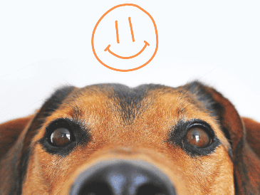 Un perro guardián puede convertirse en un excelente compañero para quienes viven en un edificio, siempre que sus necesidades físicas y emocionales sean atendidas. ESPECIAL/Canva