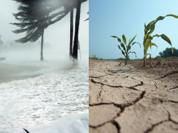 En México, los efectos por "El Niño" varían según la zona y la temporada del año. ESPECIAL / CANVA