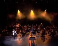 "El príncipe sinfónico" es un homenaje a la música de José José que se realizará en Palcco. ESPECIAL/CORTESÍA PALCCO.
